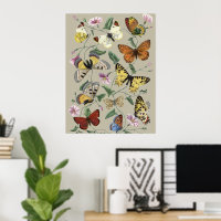 Papillon de nuit vintage 1842 Art botanique floral