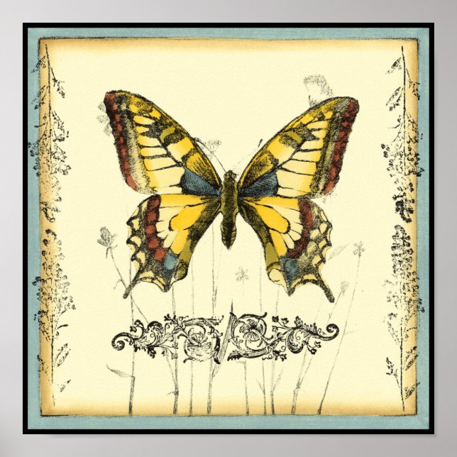 Poster Papillon décoratif avec Fleur sauvage (Devant)