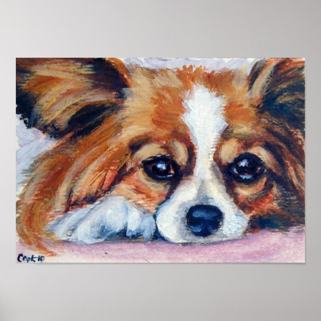 Poster Papillon Dog Print (Devant)