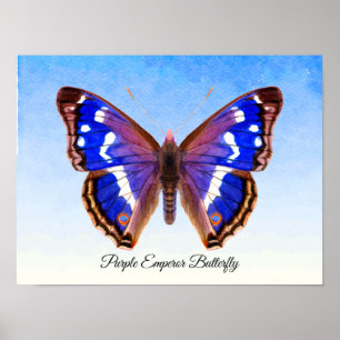 Poster Papillon Empereur Violet Aquarelle Peinture Imprim