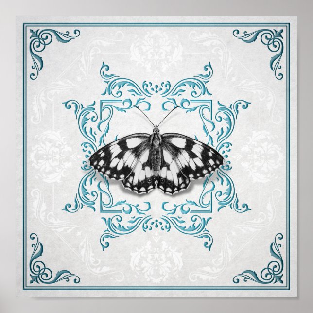Poster Papillon Entimologiste (Front)