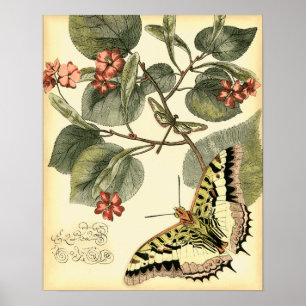 Poster Papillon et libellule à fleurs rouges