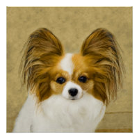 Papillon (Hound Tri) Peinture - Art Chien original