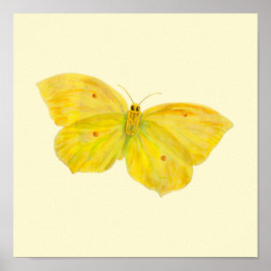 Poster Papillon jaune Volant de pierre de taille commune