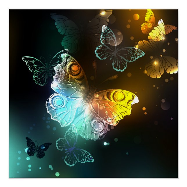 Poster Papillon lumineux et papillons de nuit (Devant)