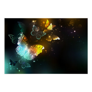 Poster Papillon lumineux et papillons de nuit
