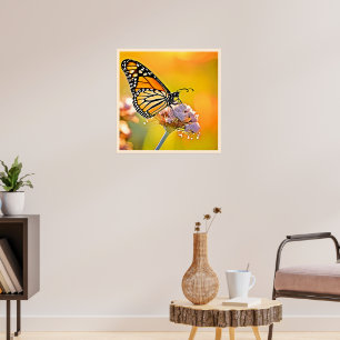 Poster Papillon Majestic Gros plan