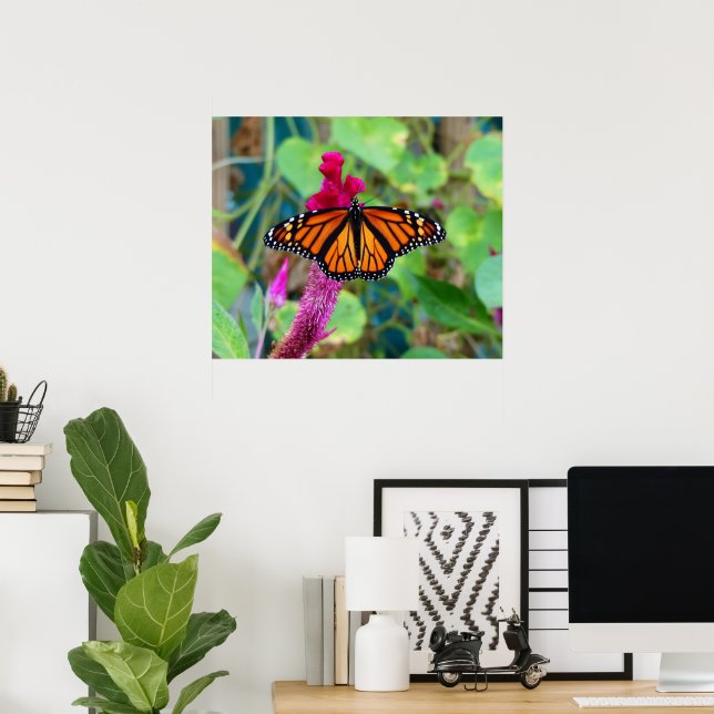 Poster Papillon monarque (Bureau à domicile)