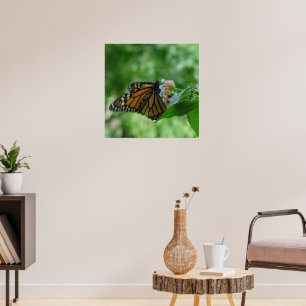 Poster Papillon Monarque Fluttering sur Flower