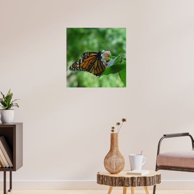 Poster Papillon Monarque Fluttering sur Flower (Salon 3)