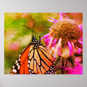Poster Papillon Monarque Sur Fleur Art Décoré