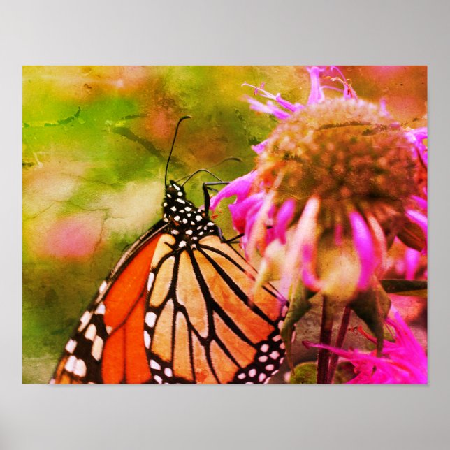 Poster Papillon Monarque Sur Fleur Art Décoré (Devant)