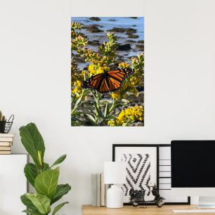 Poster Papillon monarque sur une fleur par la nature de l