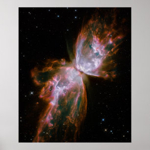 Poster Papillon Nebula