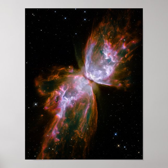 Poster Papillon / Nébuleuse du bogue (télescope Hubble) (Devant)