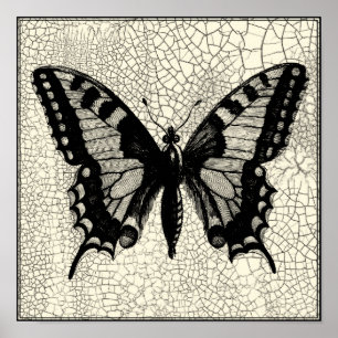 Poster Papillon noir et blanc sur Arrière - plan fissuré