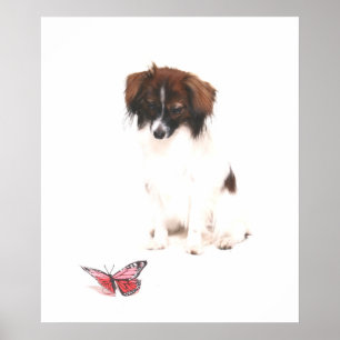 Poster Papillon Phalene avec papillon