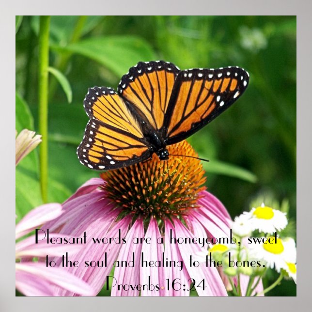 Poster papillon proverbes de fleurs de la bible rappel de (Devant)