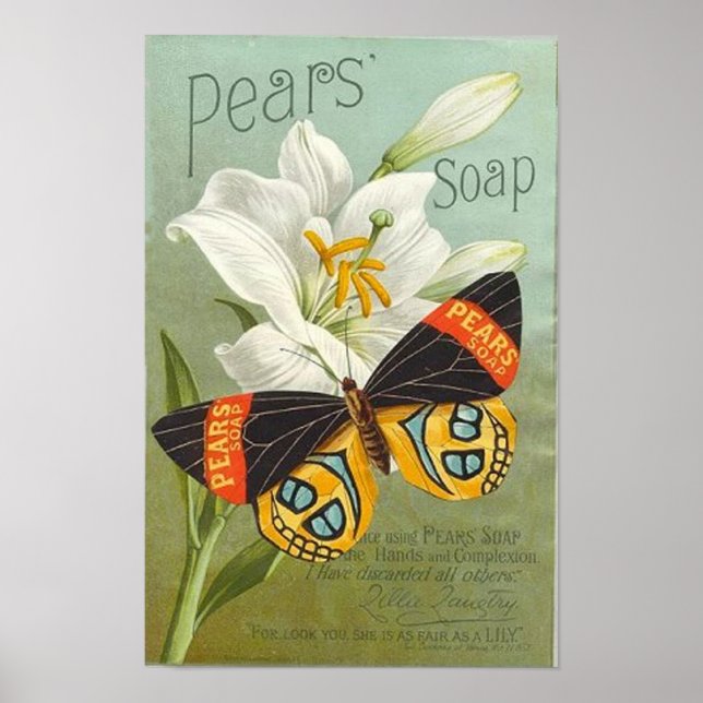 Poster Papillon Sopa Pears (Devant)