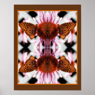 Poster Papillon sur coneflower Abstrait