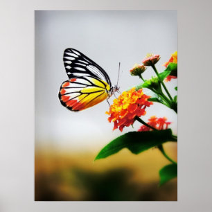 Poster Papillon sur fleur