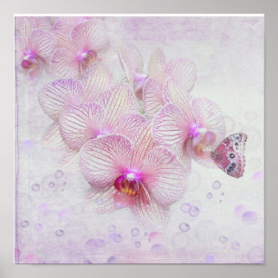 Poster Papillon sur fleurs d'orchidée