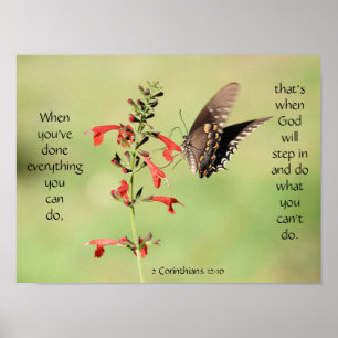 Poster Papillon sur Fleurs sauvages, Verse d'écriture