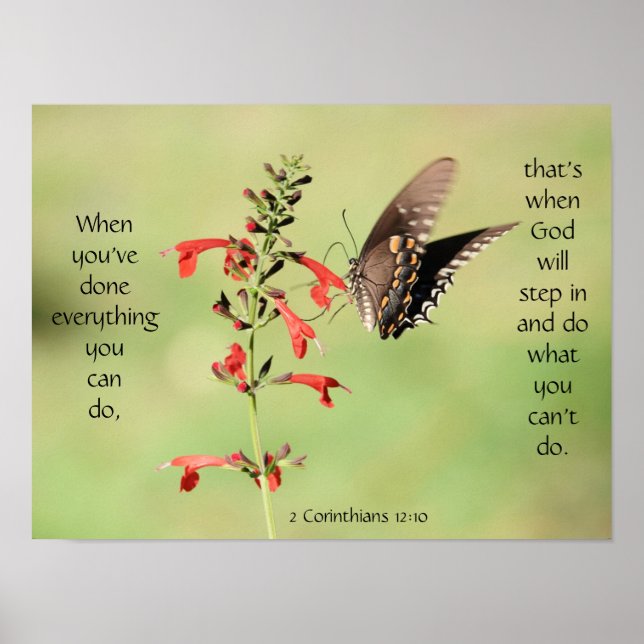 Poster Papillon sur Fleurs sauvages, Verse d'écriture (Devant)