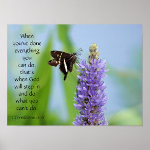 Poster Papillon sur Fleurs sauvages, Verse d'écriture