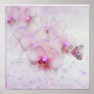 Poster Papillon sur les fleurs d'orchidées