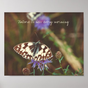 Poster Papillon sur une fleur bleue
