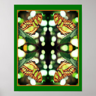 Poster Papillon vert Posant Abstrait