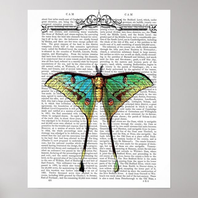 Poster Papillon vibrant (Devant)