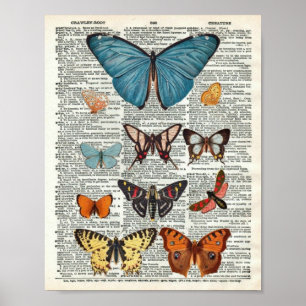 Poster Papillon vintage #2 botanique à la page de