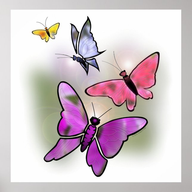 Poster Papillons (Devant)