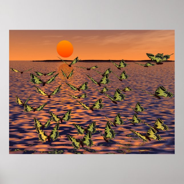 Poster Papillons (Devant)