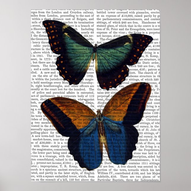 Poster Papillons 5 (Devant)