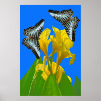 Papillons à clipper bleu malaisien sur l'affiche c