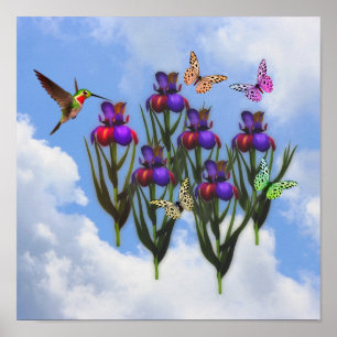 Poster Papillons à colibris Iris Fleurs