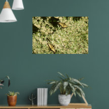 Papillons à queue d'hirondelle sur un arbuste en f