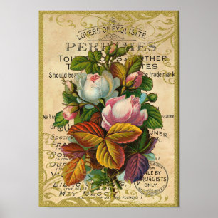 Poster Papillons antiques de parfum de roses