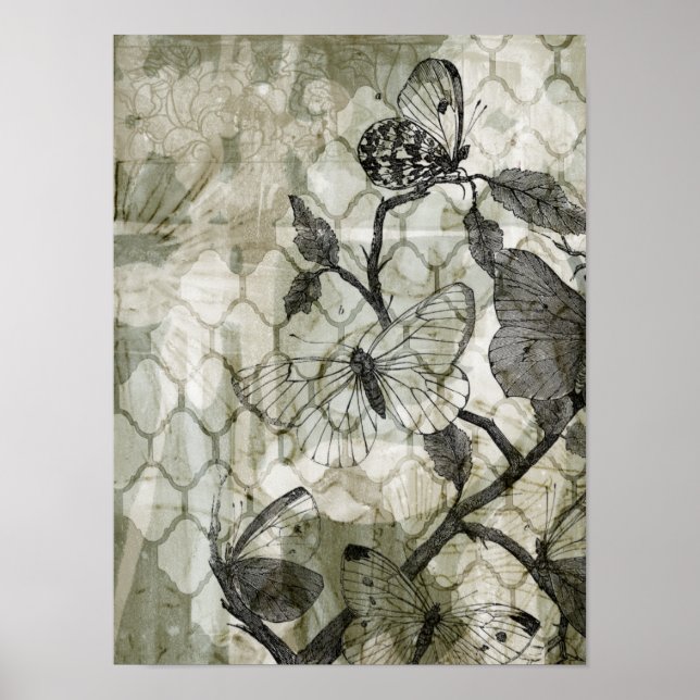 Poster Papillons arabes II (Devant)