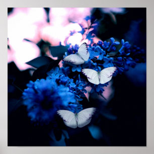 Poster Papillons blancs Fleurs bleues, papillon
