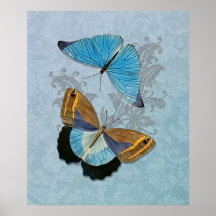 Papillons bleus