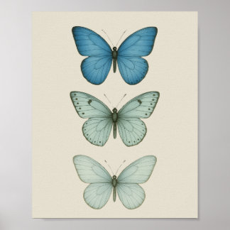 Poster Papillons bleus sur Parchemin - Vintage Nature Art