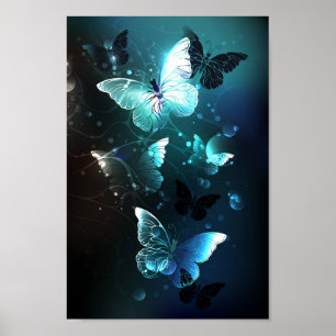 Poster Papillons de nuit