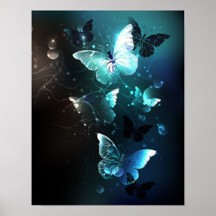 Poster Papillons de nuit