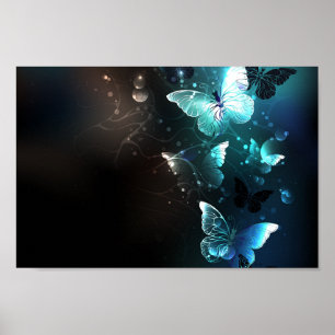 Poster Papillons de nuit