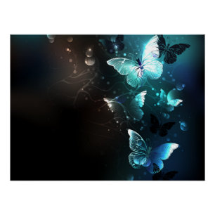 Poster Papillons de nuit