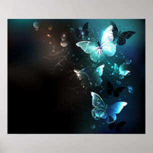 Poster Papillons de nuit